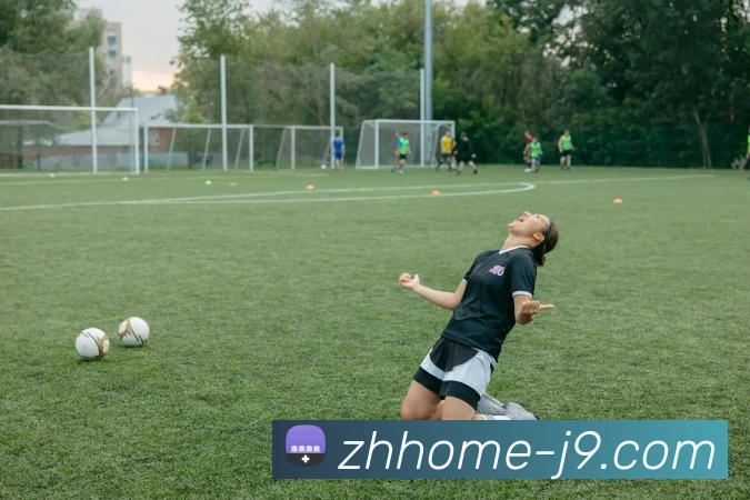 J9国际站官网平台生态图